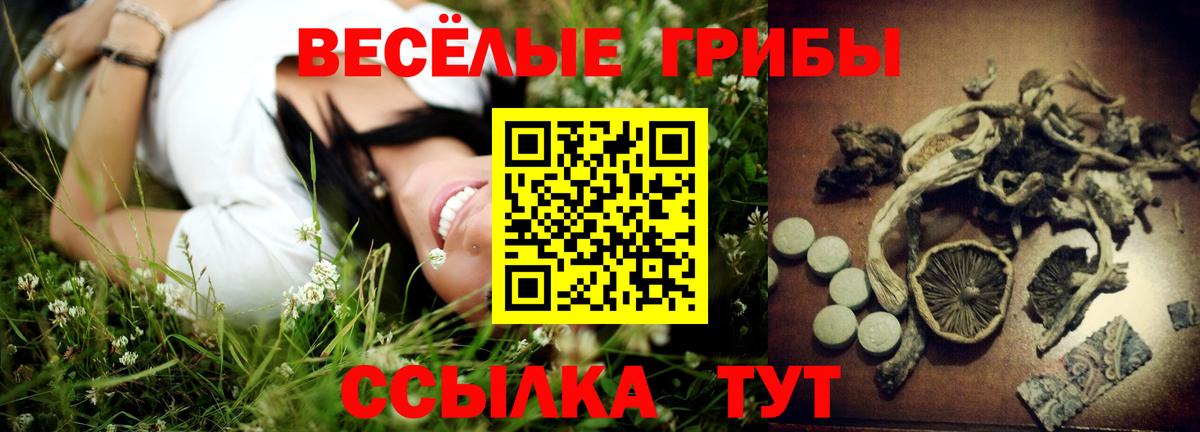 Псилоцибиновые грибы GOLDEN TEACHER Новокубанск