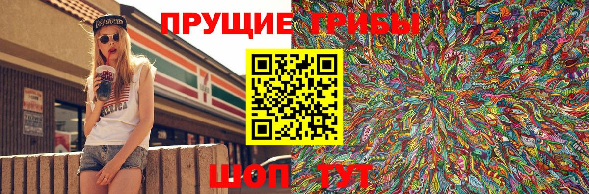 Псилоцибиновые грибы GOLDEN TEACHER  купить   Новокубанск  Вход с VPN 